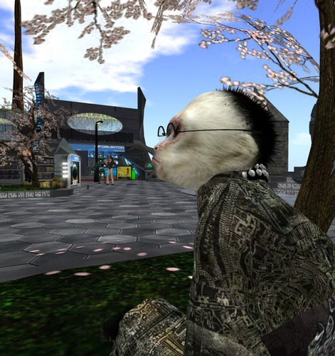 Web 51f0346adbb6bd7d92000001