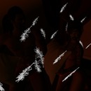 Thumb 57d24666b713f725c7000001