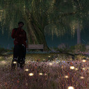 Thumb 64aa3c3db5575f65e18c0a70