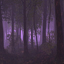 Thumb 66c15c69ddd2432bd3564d95