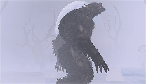 Web 65d21285b404006fb1eec037