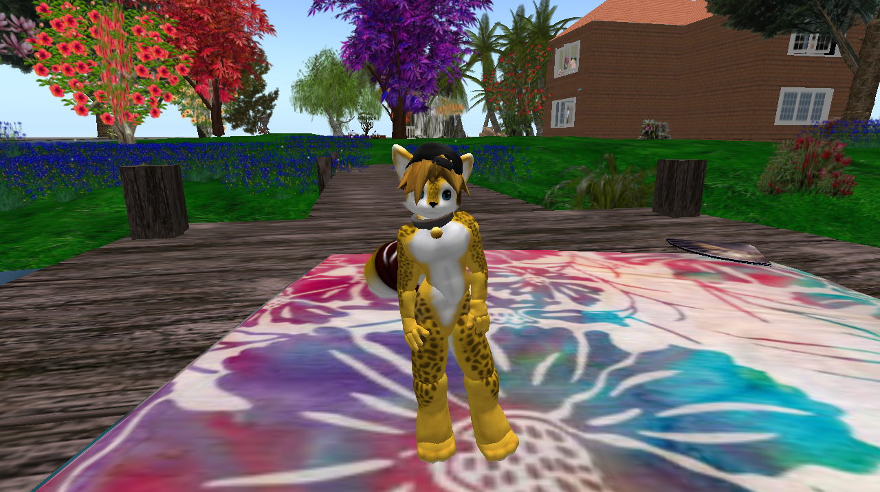 Original 500479394e15bf19ec000001