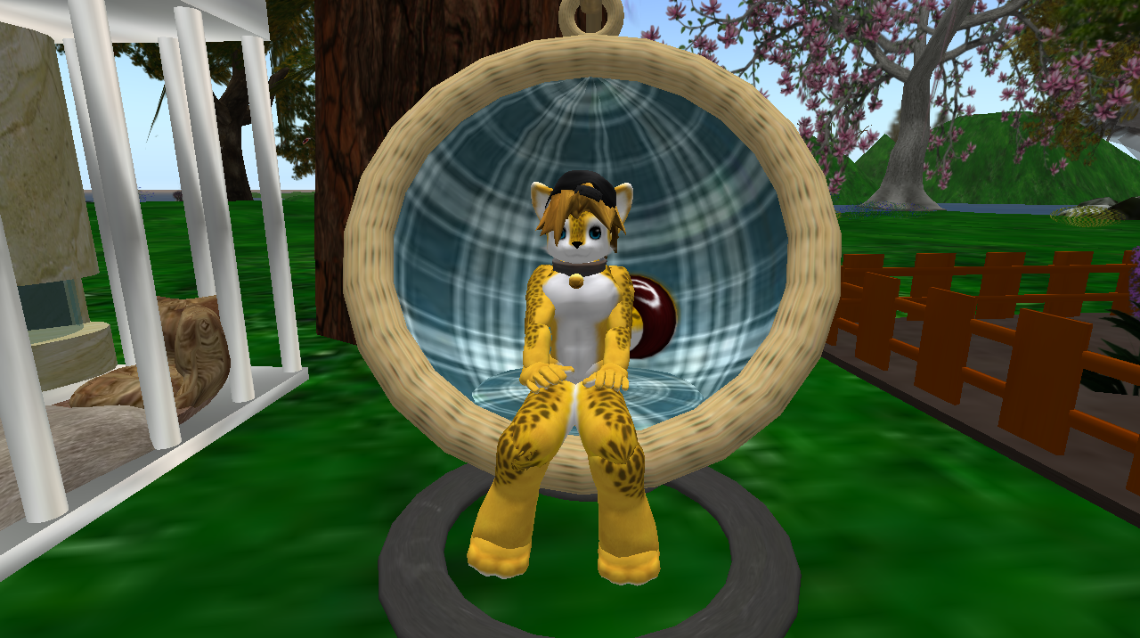 Original 50047991b1104256b4000001