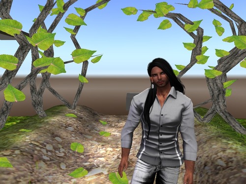 Web 541f38e5f8a1ec33ed000001