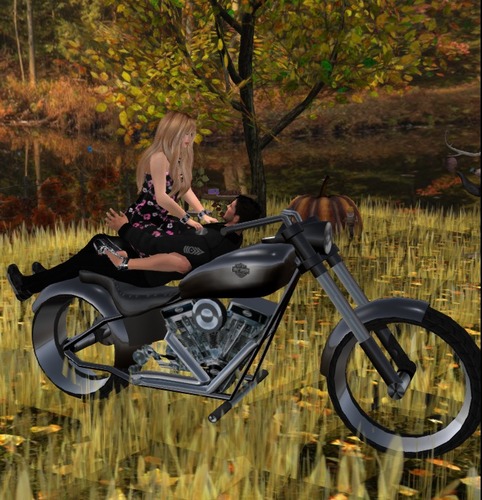 Web 542fc912128cc94113000001