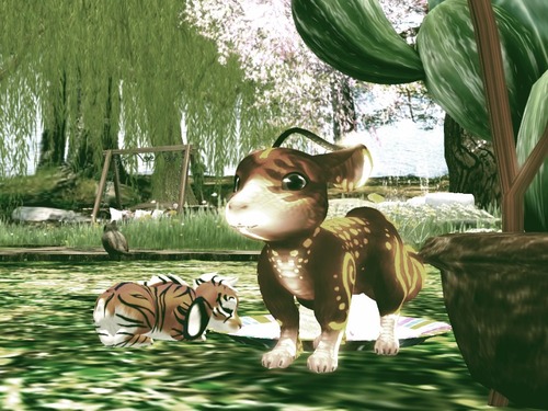 Web 556382998da57266e8000001