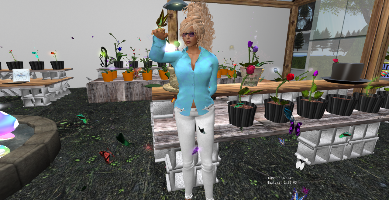 Original 5516ca5d8da5721b53000001