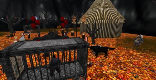 Web 5442fce5128cc966ff000001