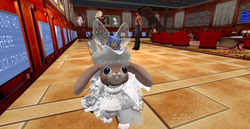 Web 54f350f58da572731f000001