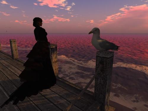 Web 5c90caf9d774f82435000001