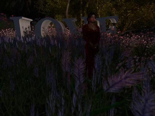 Web 5c91536c289dd21ded000001