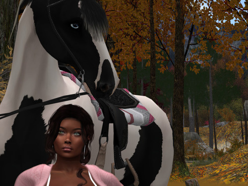 Web 633c88820a3a66485878267e