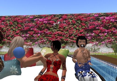 Web 4fadb194d105ff109b000001