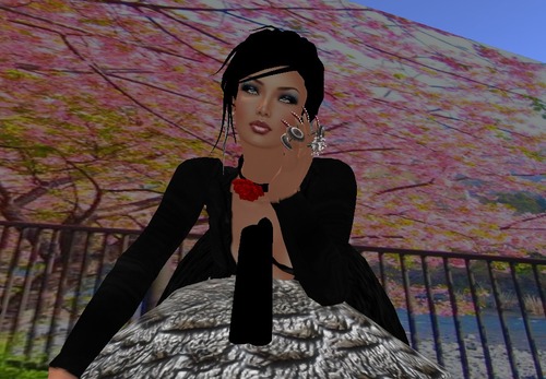 Web 511d854da99e156025000001