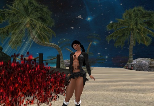 Web 5130274be1c0a93695000001