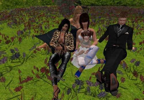 Web 514fb330fcfbf15f15000001