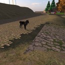 Thumb 5311ed458da57203de000001