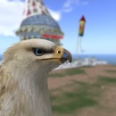 Thumb 5687d51b3f942f30dd000001