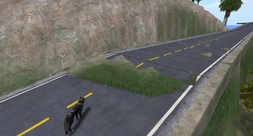 Web 533961e78da57225cc000001