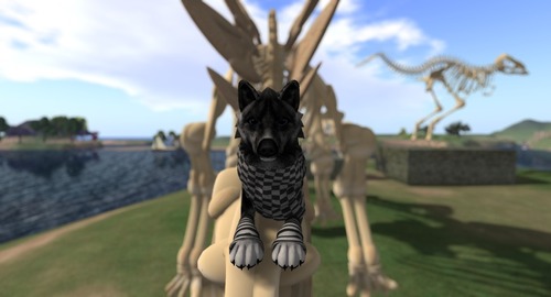 Web 5339aad3128cc96ead000001