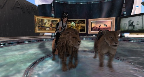 Web 53a887df128cc91a45000001