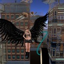 Thumb 5419884b8da572059a000001