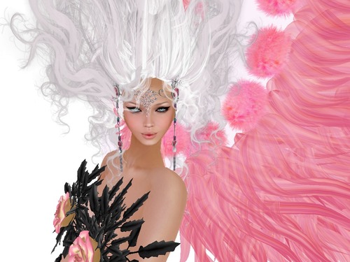 Web 54feeab0f8a1ec683c000001