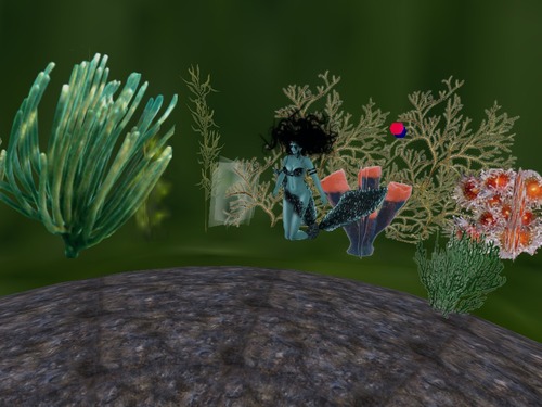 Web 5592e6fa8da5723596000001