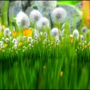 Thumb 579a80d0e85cda09d8000001