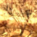 Thumb 5d61722dd774f846fd000001