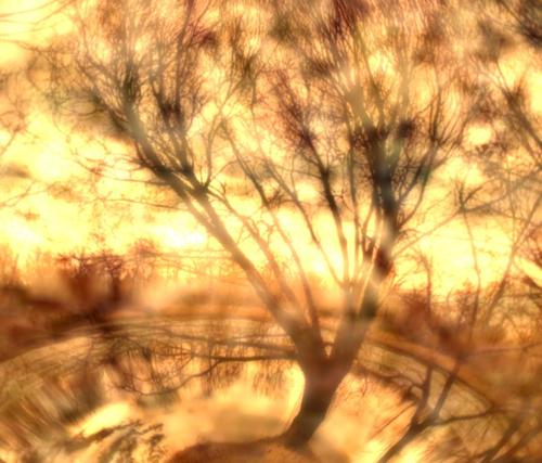 Web 5d61722dd774f846fd000001