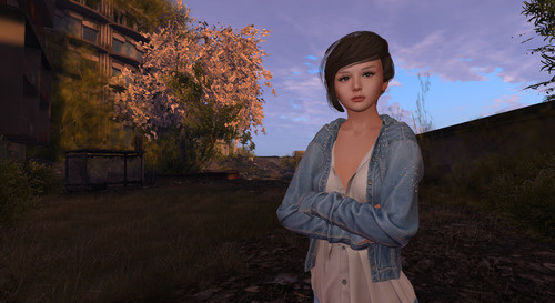 Web 64068301a69bad72a8902c1d