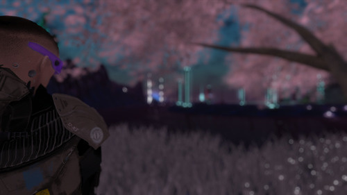 Web 641d73c32b47cb470e80c7c6