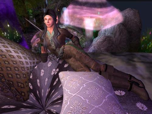 Web 5addf96ad9859c219d000001