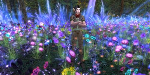 Web 5bcf90e373ed17354b000001