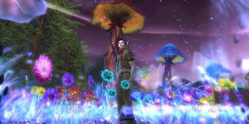 Web 5bcf91cfd9859c789e000001