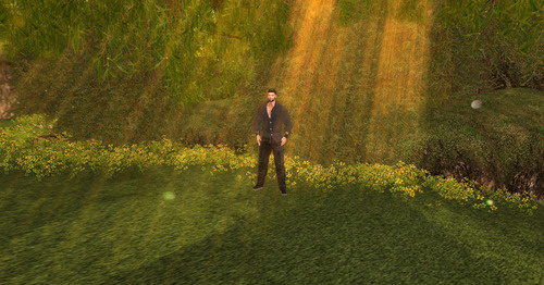 Web 642351597f64dd3910ff9f6e