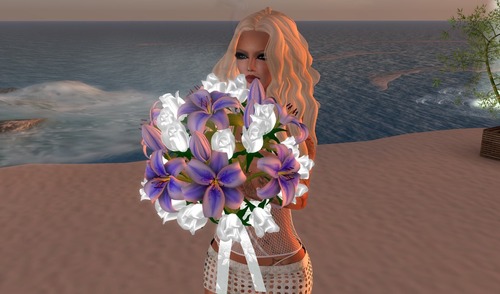 Web 53ece6efa73e210b9e000001