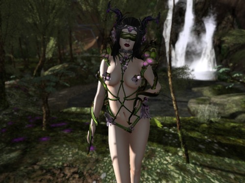 Web 54eb15b2a73e210dd1000001