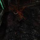 Thumb 6043c3781246c63796f1fa5f