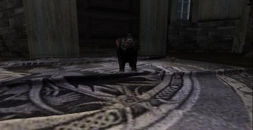 Web 6043d77b36cf5879a69345f2