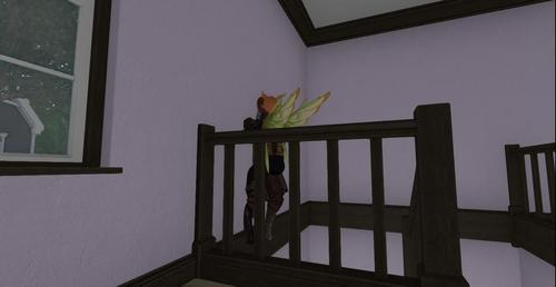 Web 6046539f1246c62333f1fa5f