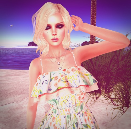 Web 55599f58128cc97994000001