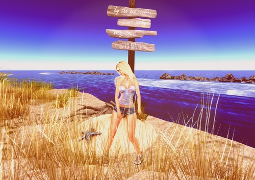 Web 56df99ac9934e02b02000001