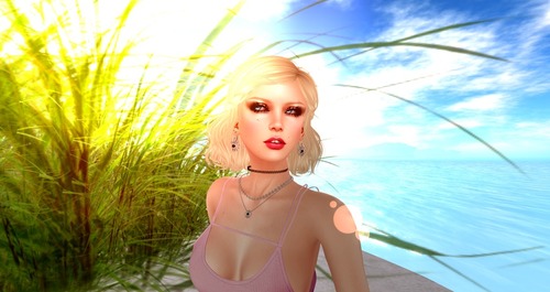 Web 5701ecbce85cda3ba3000001