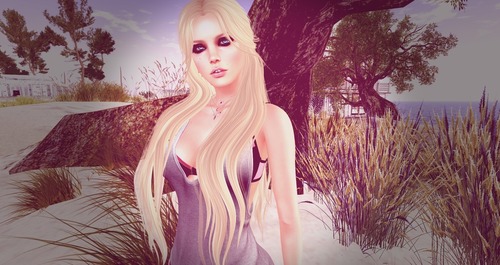 Web 5703e6a6e85cda2e2f000001