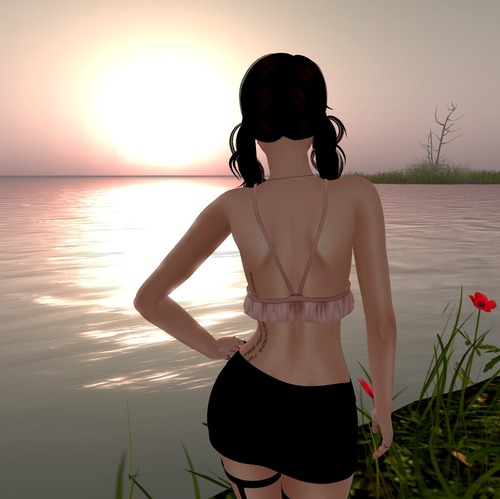 Web 573e9220e85cda6ff5000001