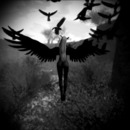 Thumb 5562416af8a1ec0bca000001