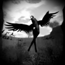 Thumb 556243dd8da57244d3000001