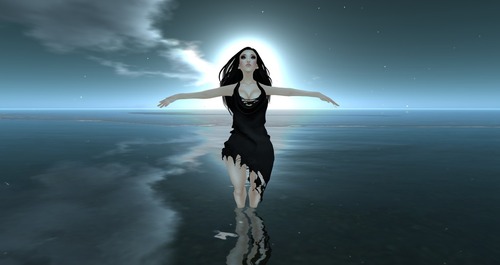 Web 517824418dd2554ece000001